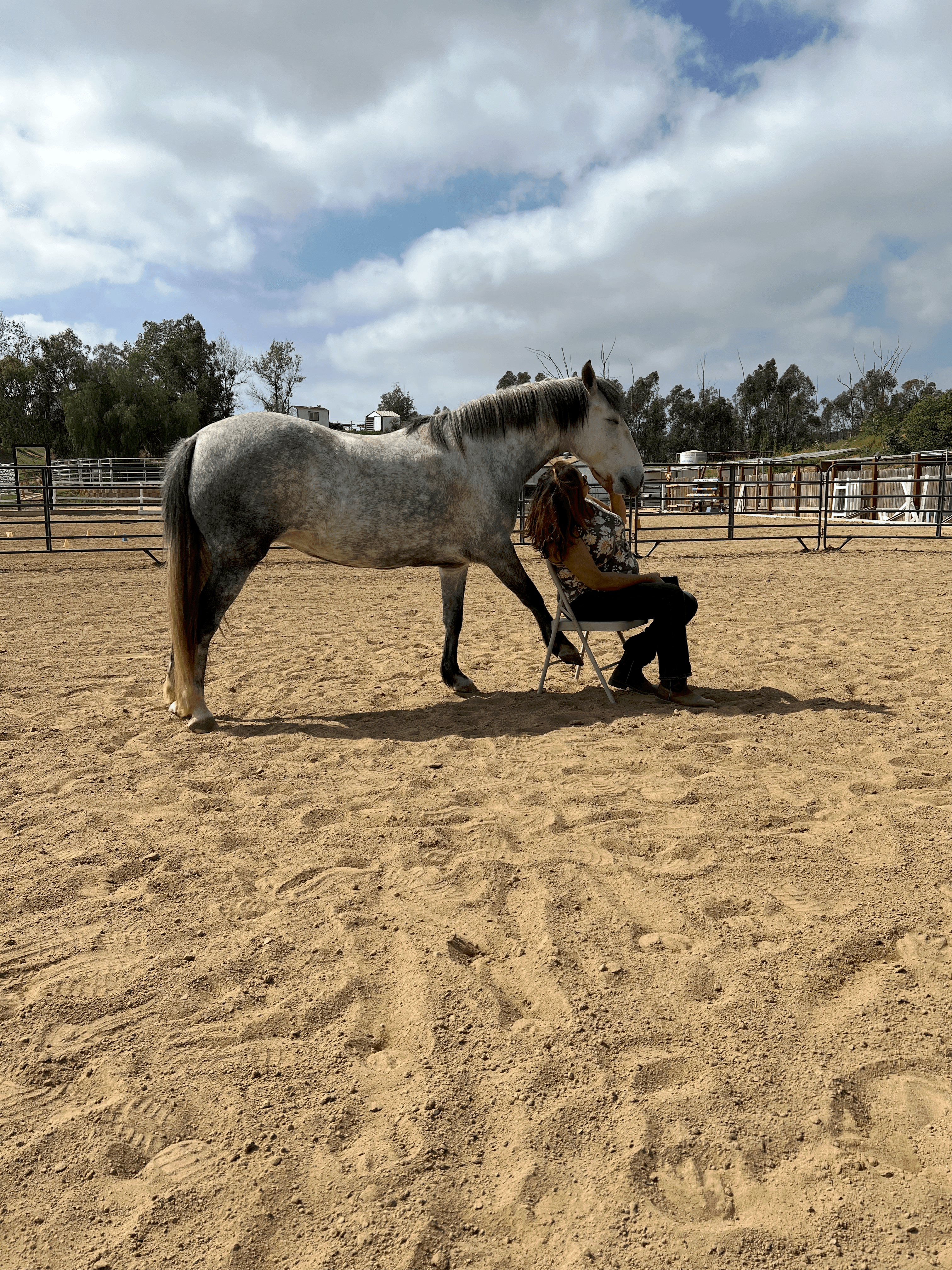 Heather with a horse